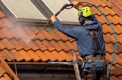 Démoussage et hydrofuge de toiture à Fanlac